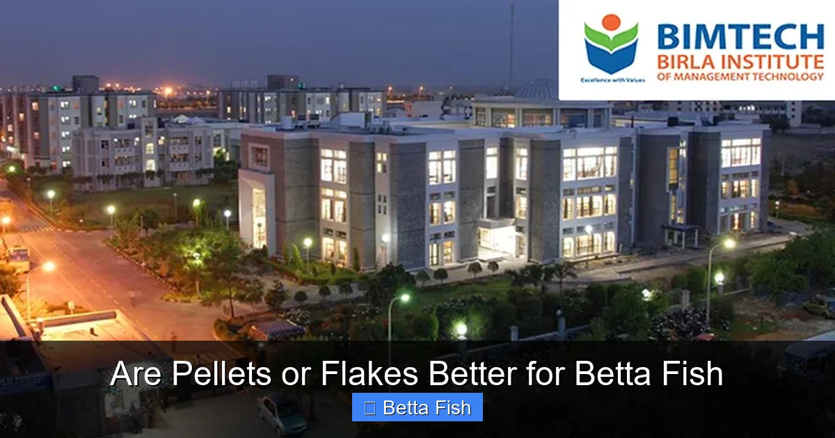 Are Pellets or Flakes Better for Betta Fish