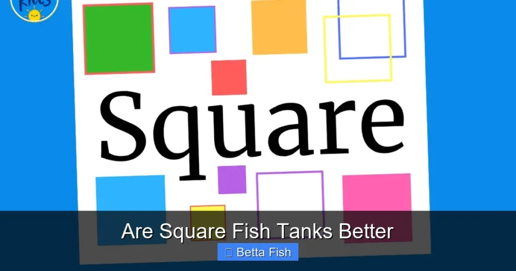 Are Square Fish Tanks Better