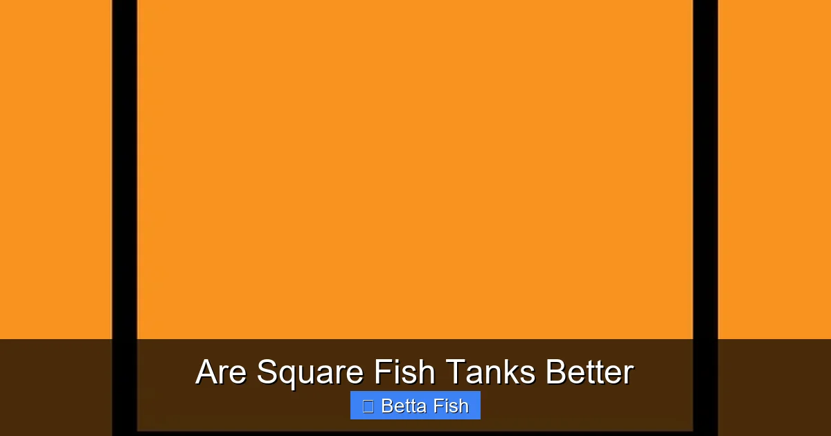 Are Square Fish Tanks Better