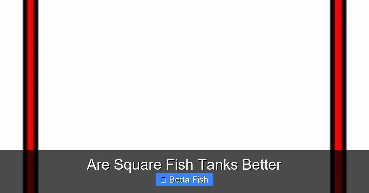Are Square Fish Tanks Better