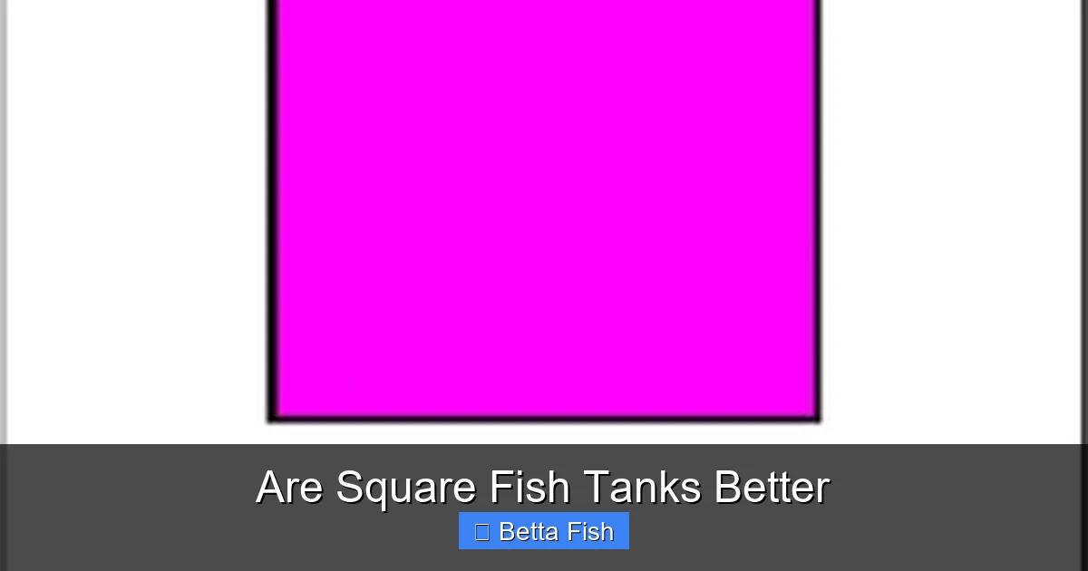 Are Square Fish Tanks Better