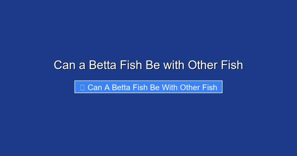 Can a Betta Fish Be with Other Fish