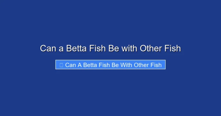 Can a Betta Fish Be with Other Fish
