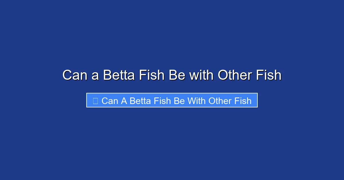 Can a Betta Fish Be with Other Fish