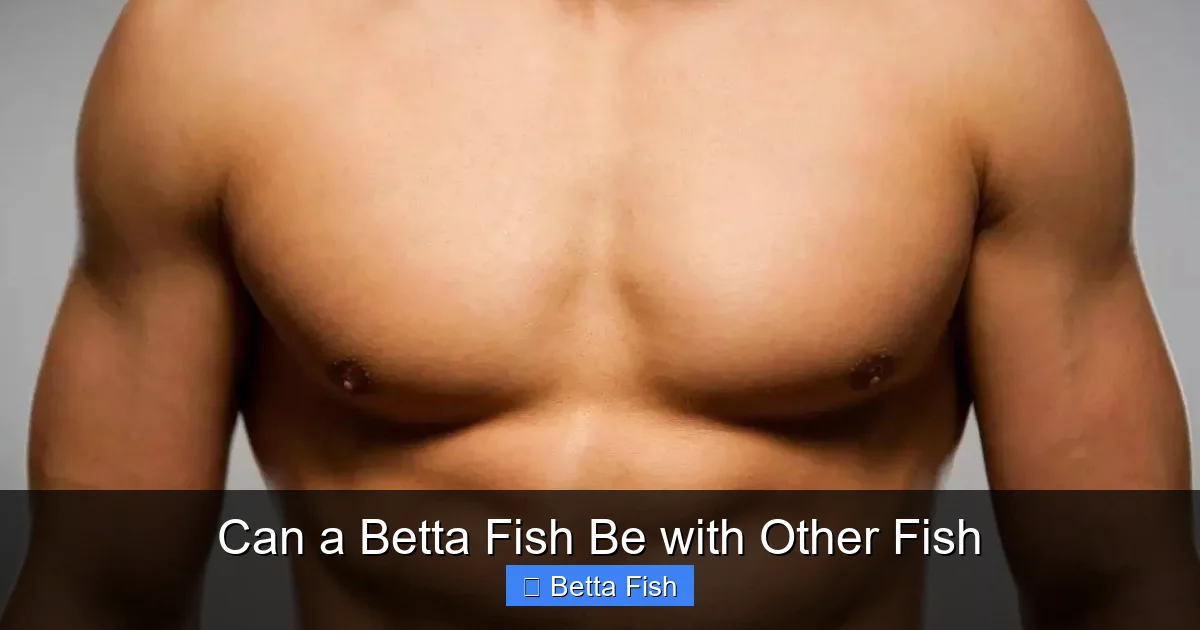 Can a Betta Fish Be with Other Fish