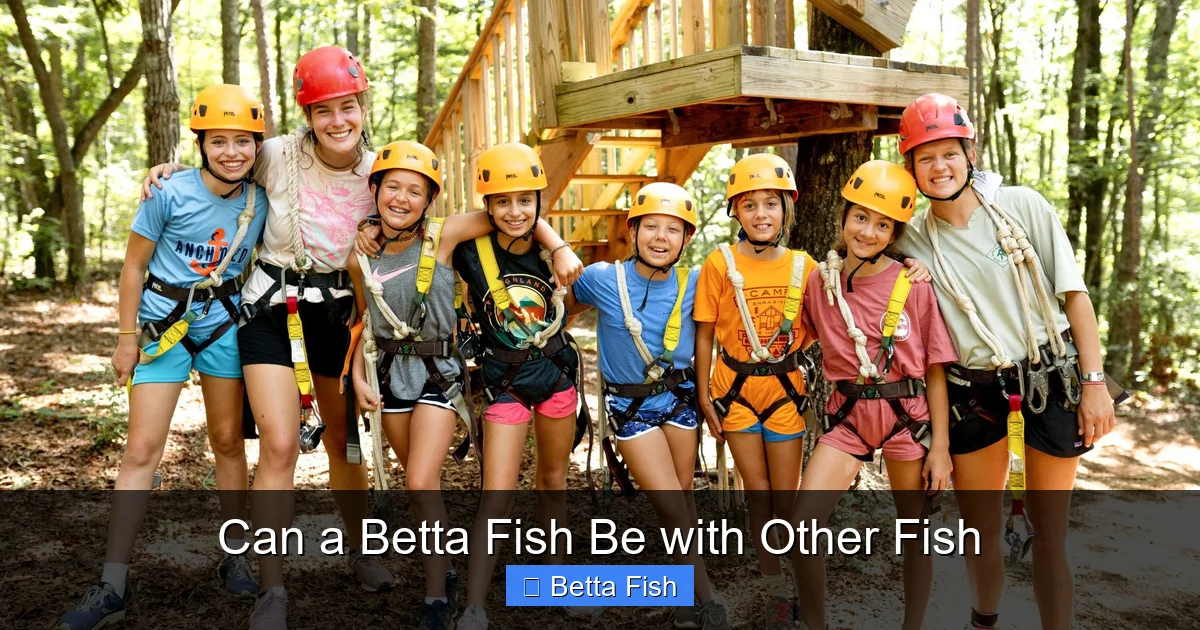 Can a Betta Fish Be with Other Fish