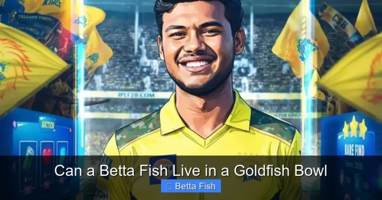 Can a Betta Fish Live in a Goldfish Bowl