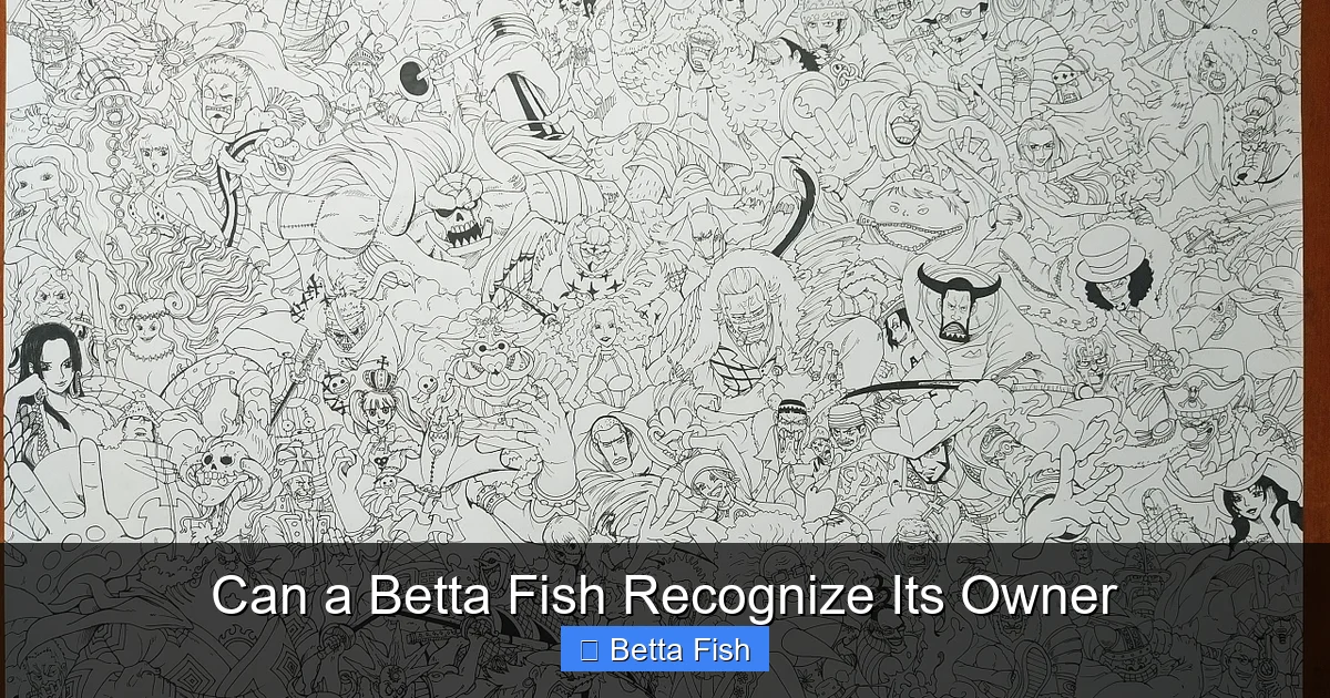 Can a Betta Fish Recognize Its Owner