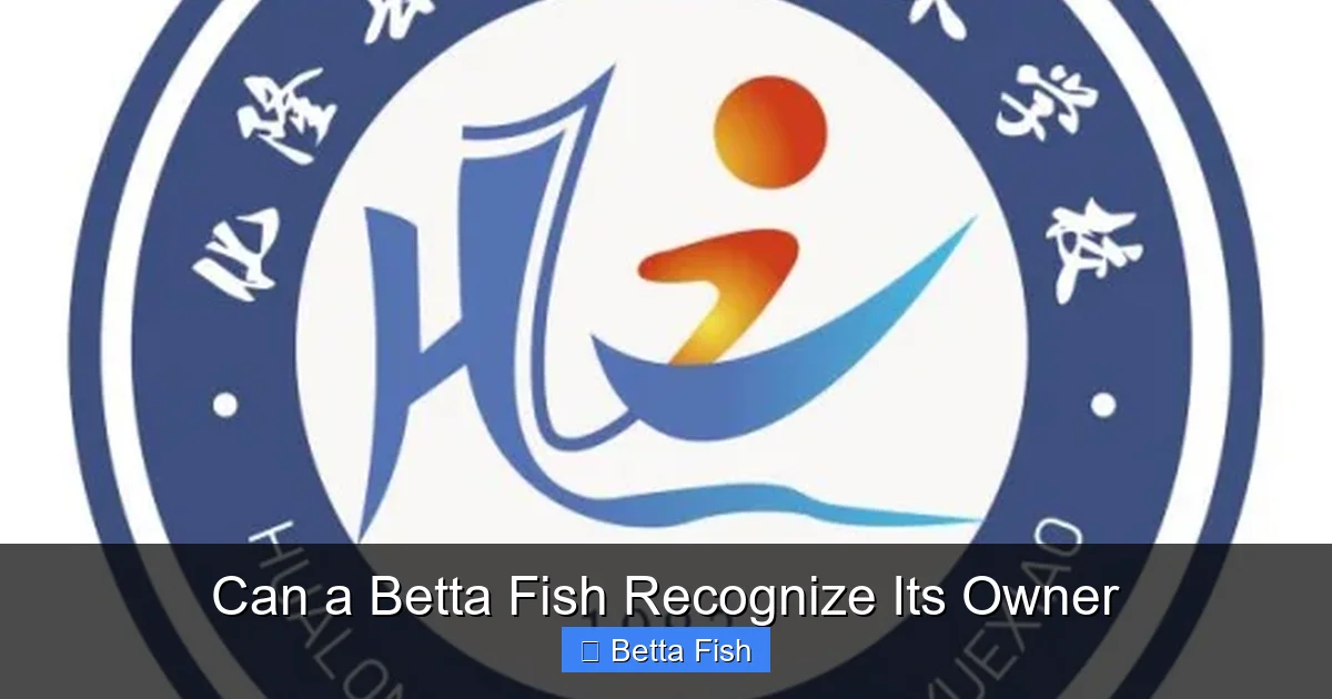 Can a Betta Fish Recognize Its Owner