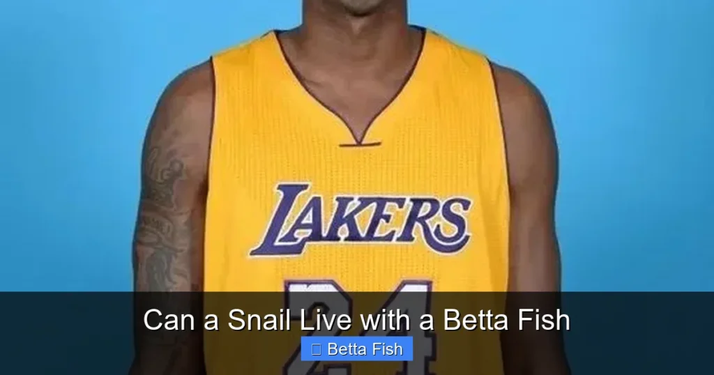 Can a Snail Live with a Betta Fish