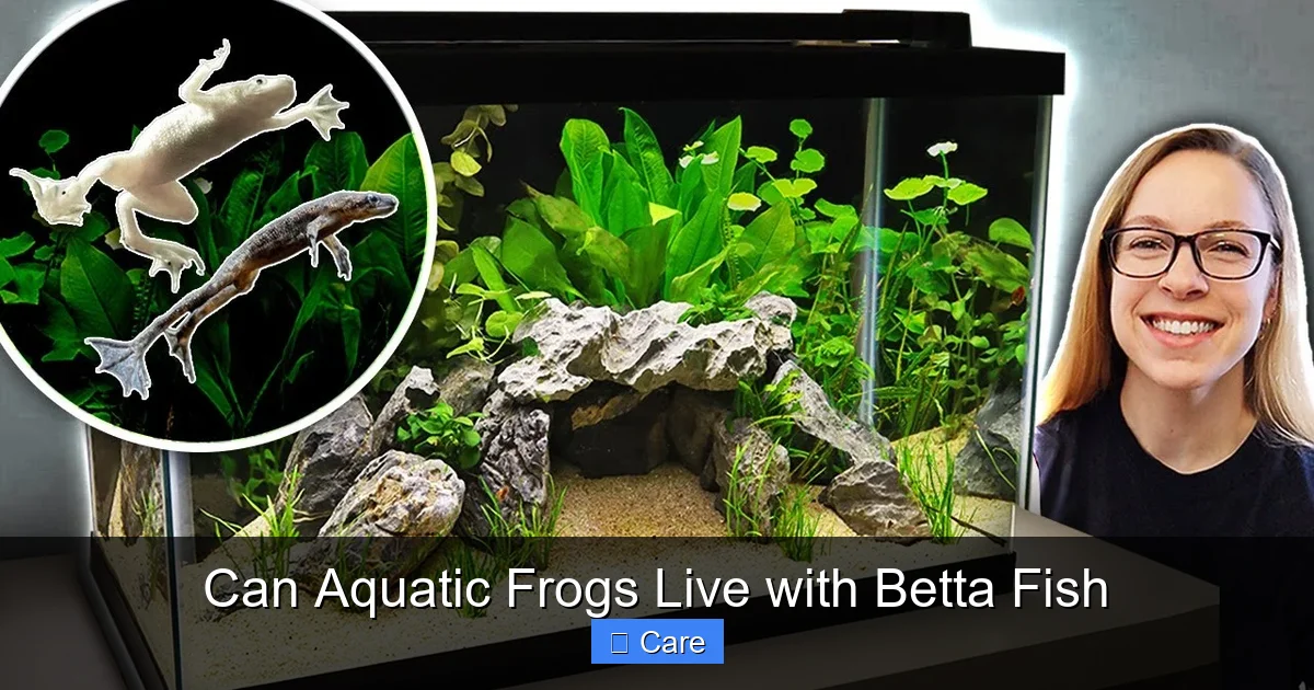 Can Aquatic Frogs Live with Betta Fish