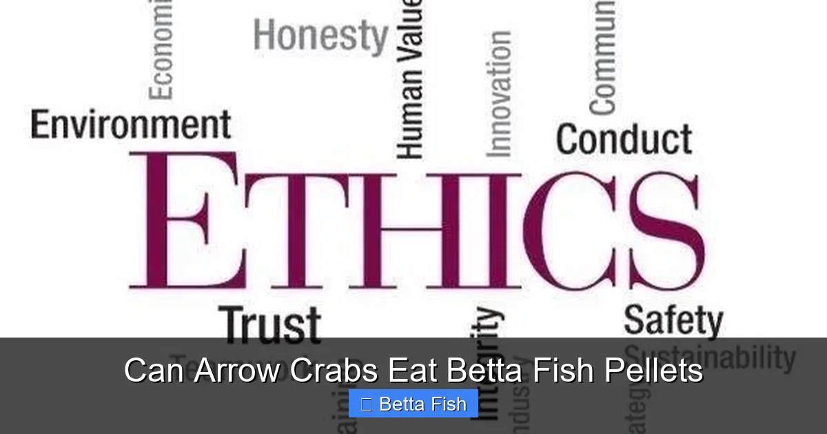 Can Arrow Crabs Eat Betta Fish Pellets