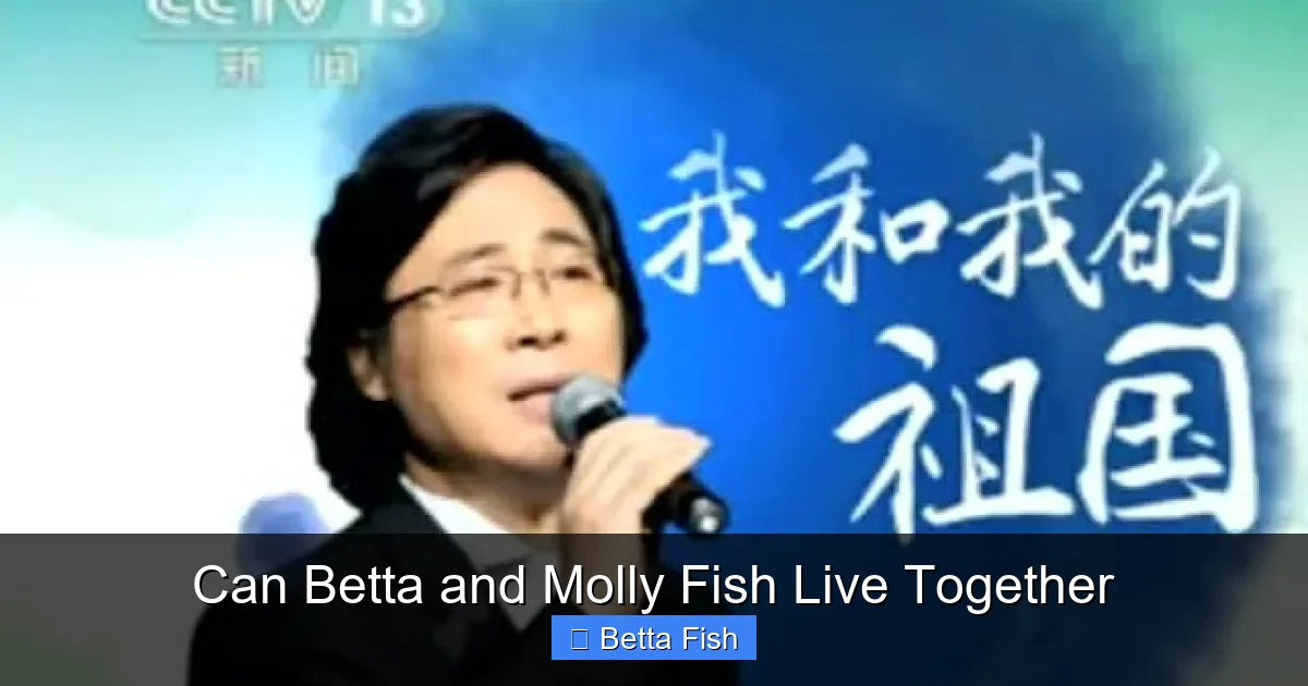 Can Betta and Molly Fish Live Together