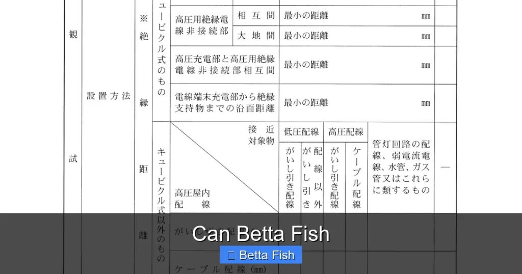 Can Betta Fish