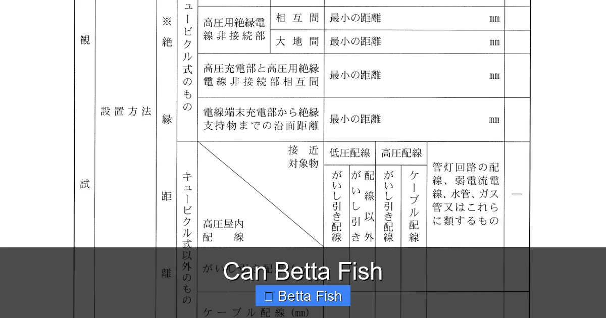 Can Betta Fish