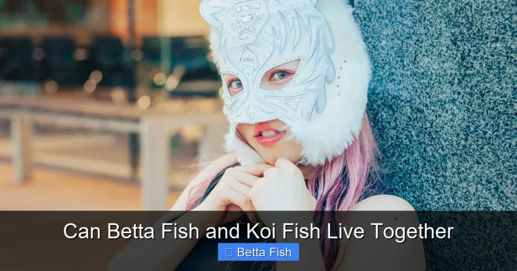Can Betta Fish and Koi Fish Live Together