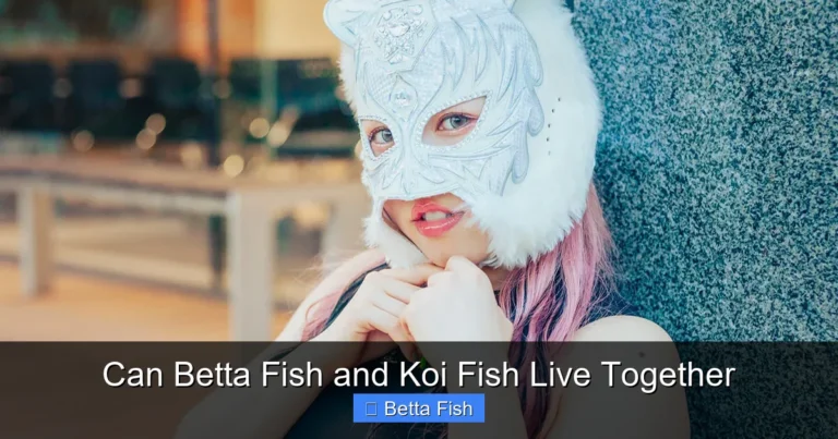 Can Betta Fish and Koi Fish Live Together