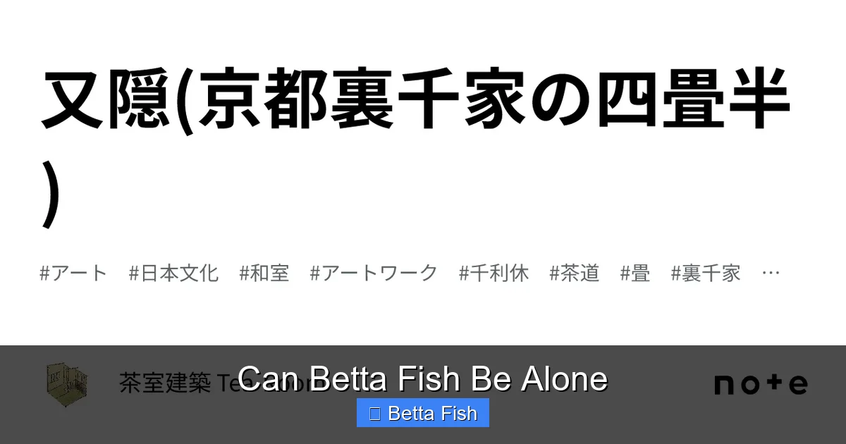Can Betta Fish Be Alone