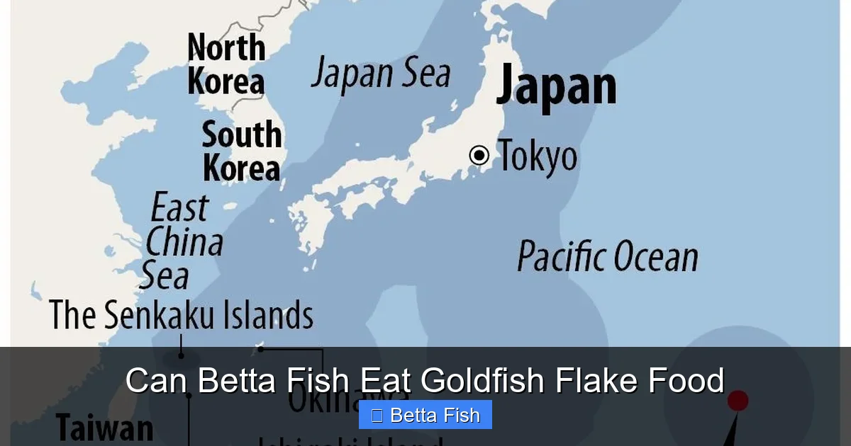 Can Betta Fish Eat Goldfish Flake Food