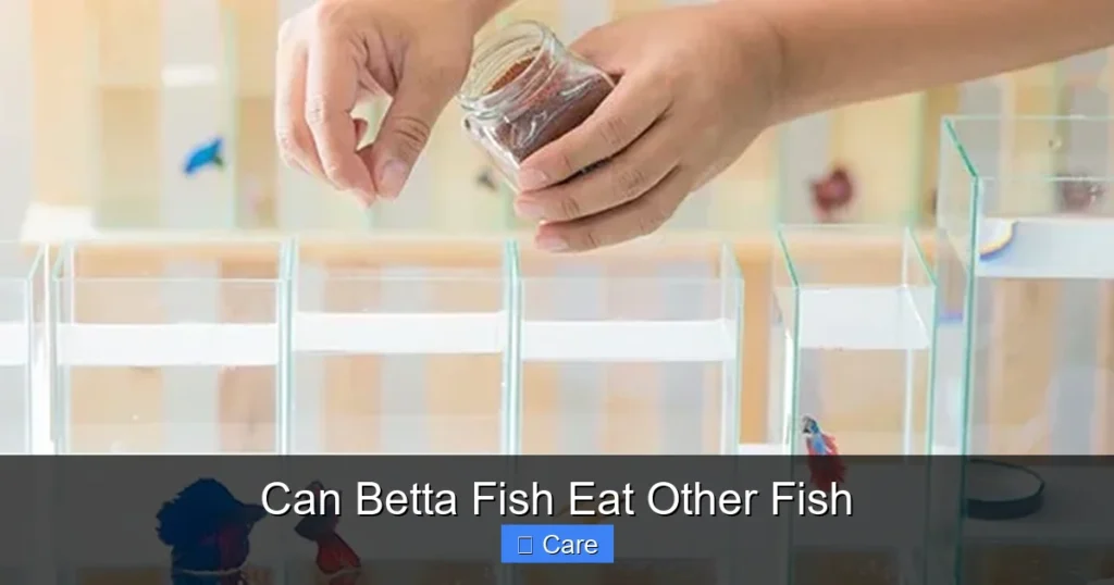 Can Betta Fish Eat Other Fish