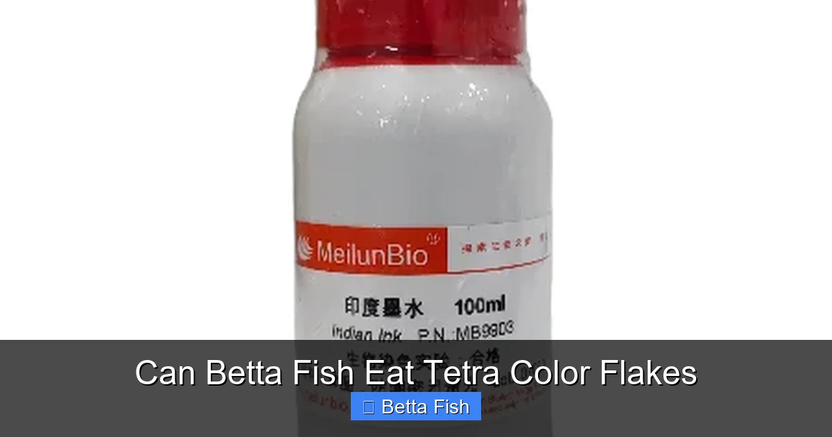 Can Betta Fish Eat Tetra Color Flakes