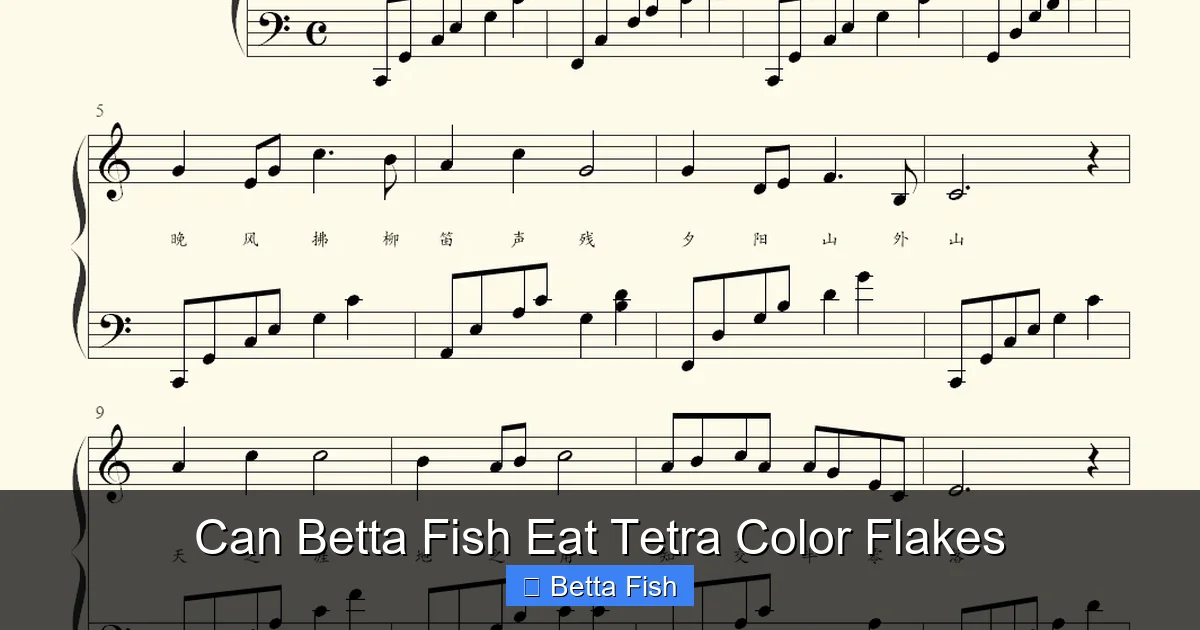 Can Betta Fish Eat Tetra Color Flakes