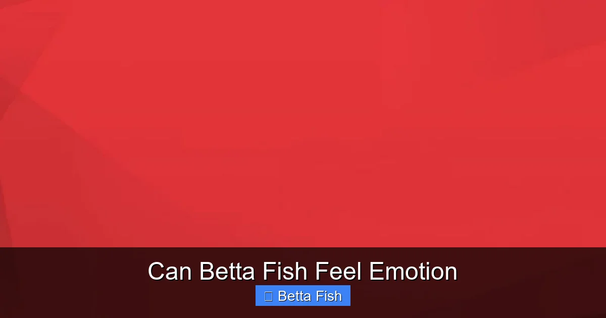 Can Betta Fish Feel Emotion