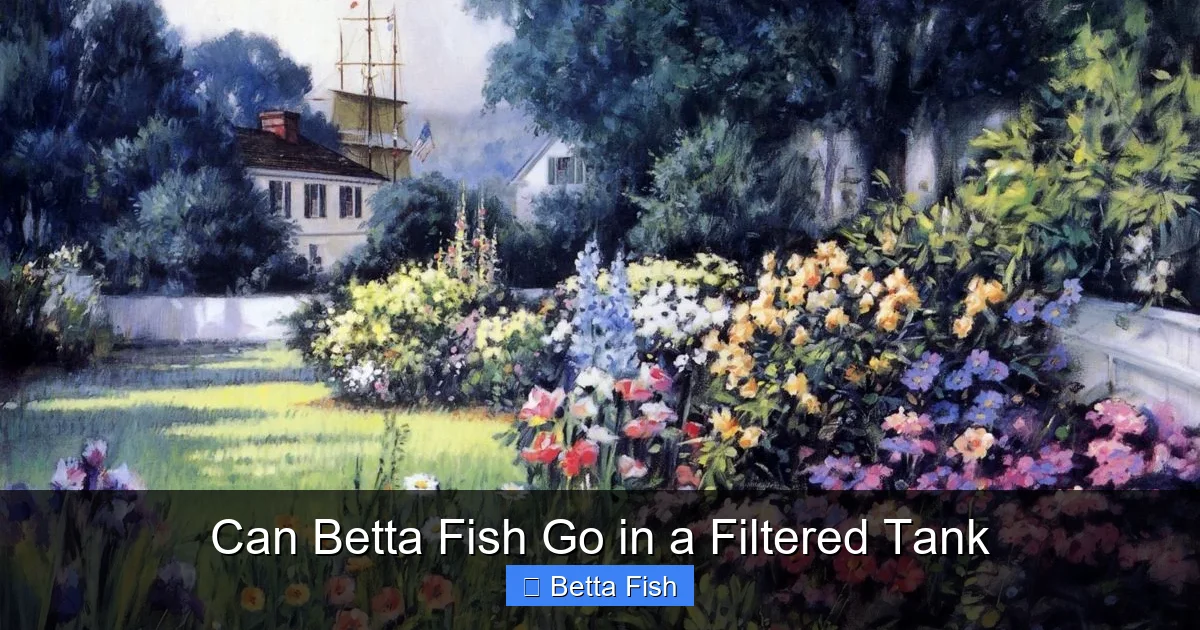 Can Betta Fish Go in a Filtered Tank