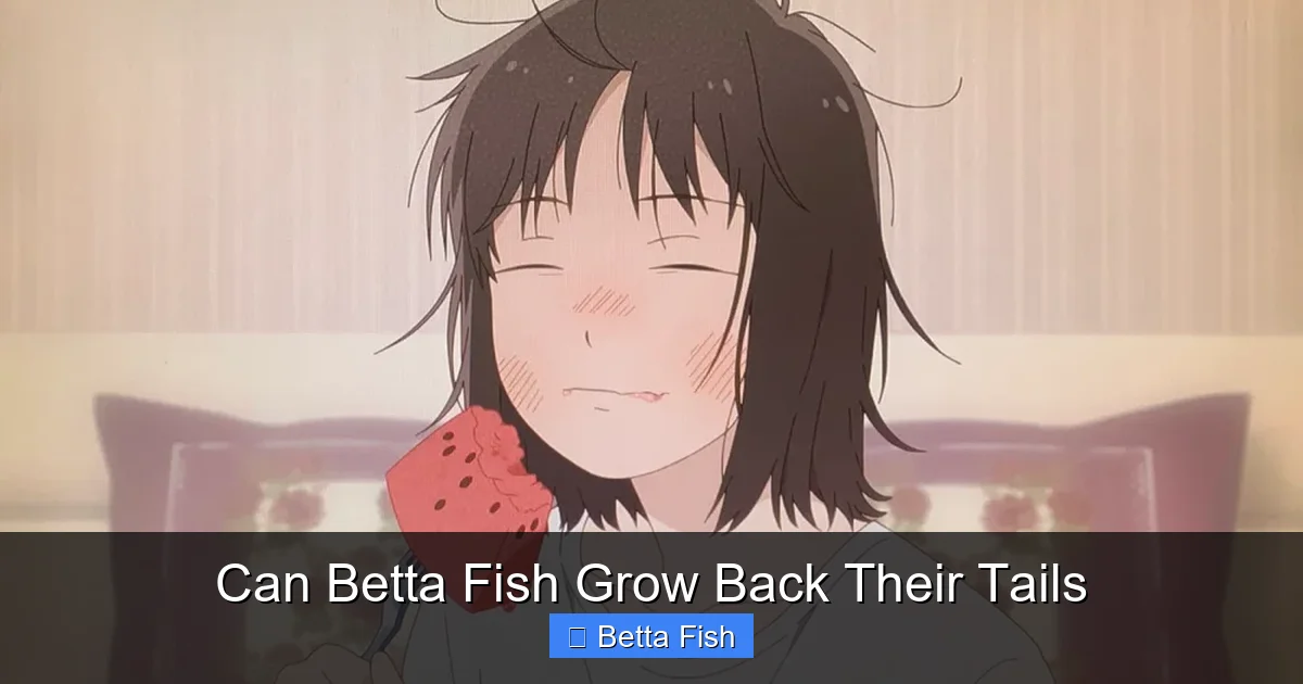 Can Betta Fish Grow Back Their Tails