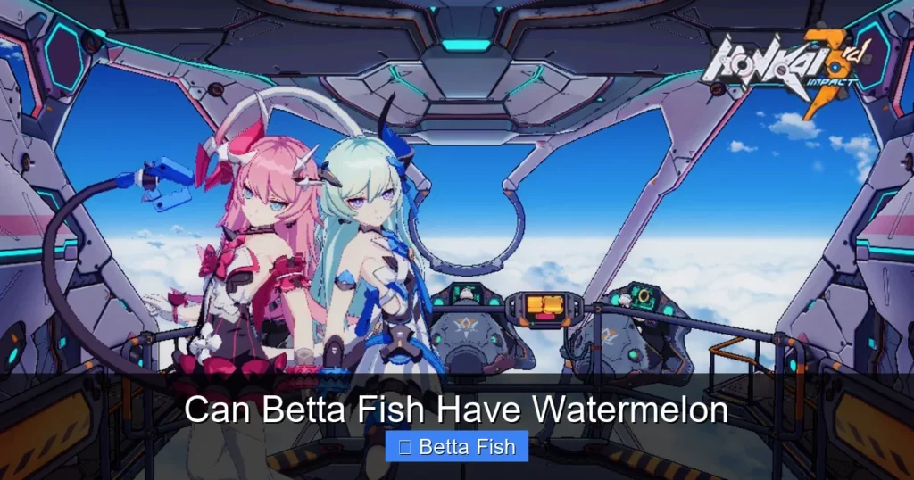 Can Betta Fish Have Watermelon