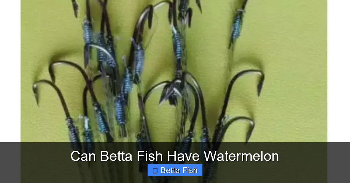 Can Betta Fish Have Watermelon