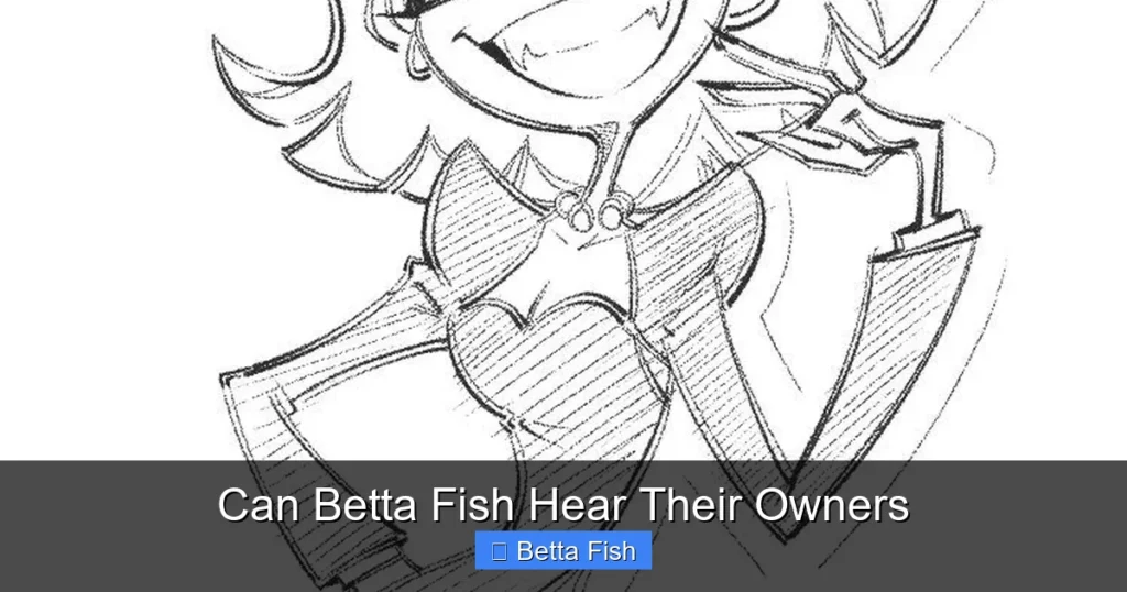 Can Betta Fish Hear Their Owners