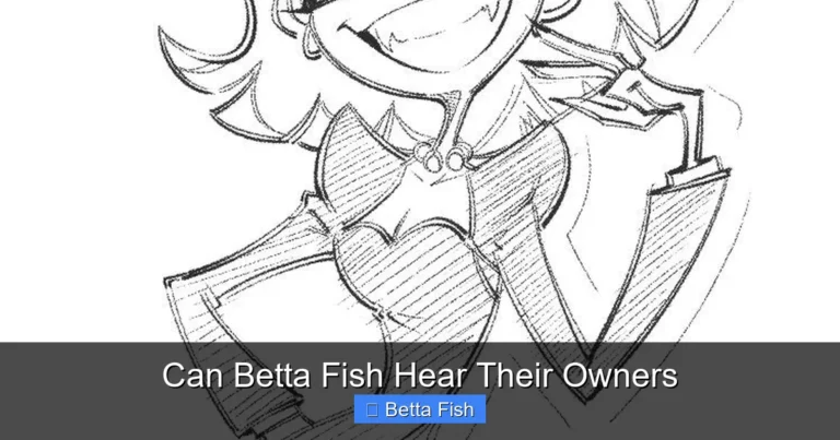 Can Betta Fish Hear Their Owners