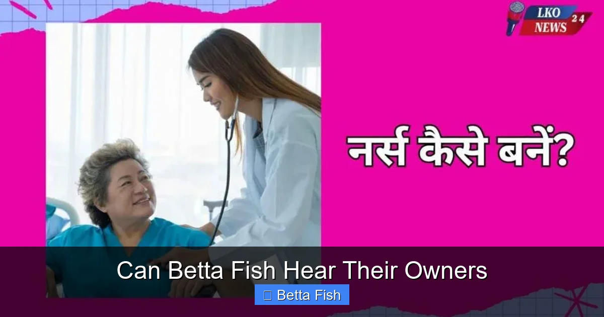 Can Betta Fish Hear Their Owners