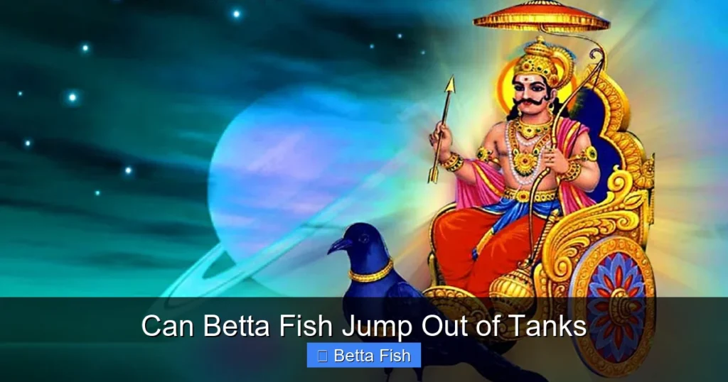 Can Betta Fish Jump Out of Tanks
