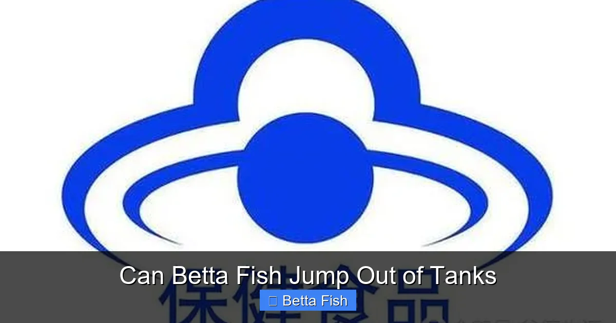 Can Betta Fish Jump Out of Tanks