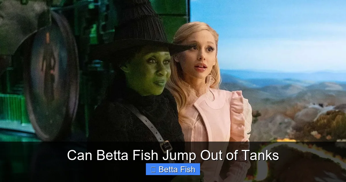 Can Betta Fish Jump Out of Tanks