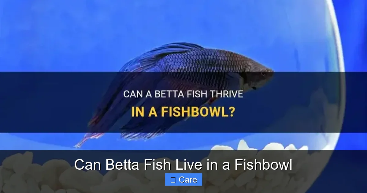 Can Betta Fish Live in a Fishbowl