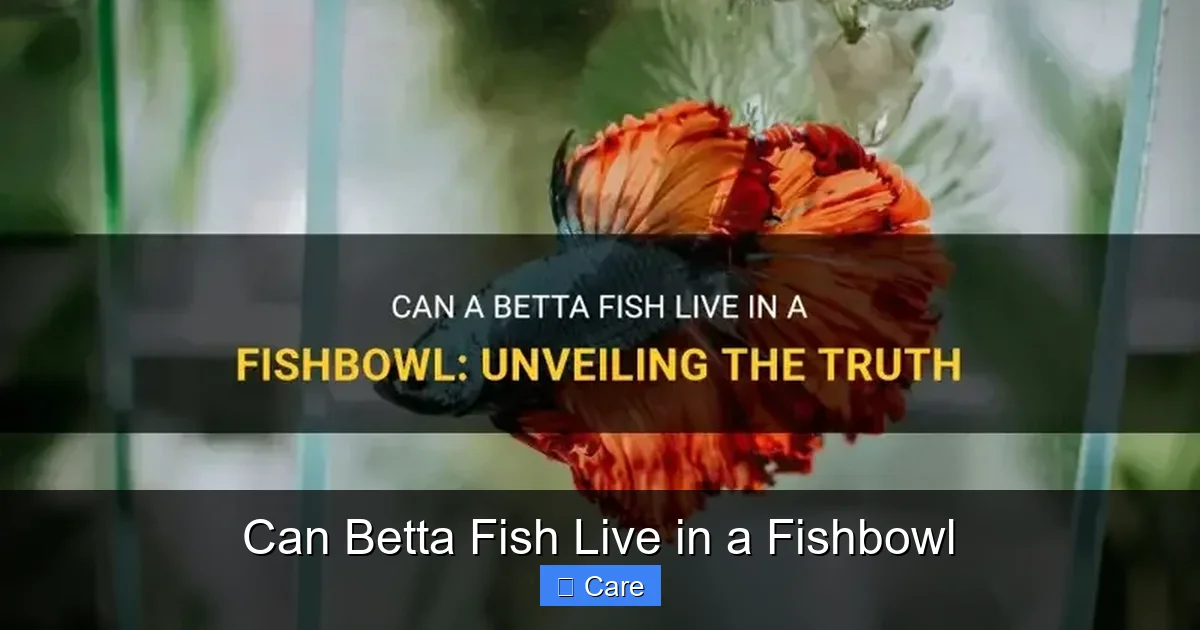 Can Betta Fish Live in a Fishbowl