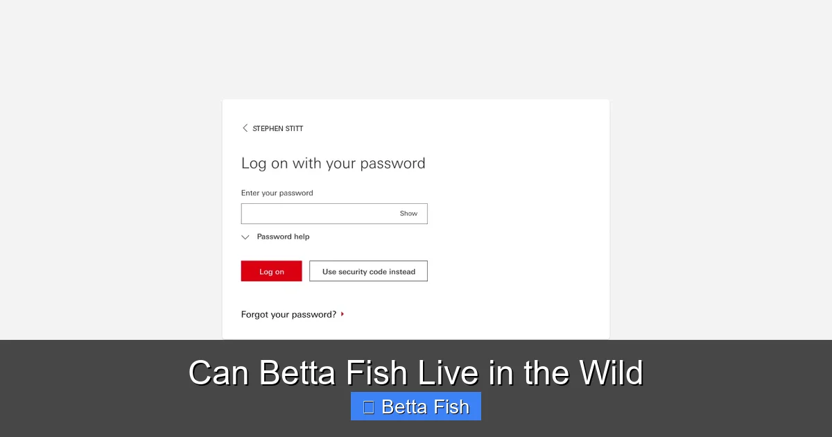 Can Betta Fish Live in the Wild