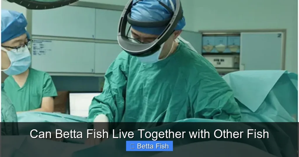 Can Betta Fish Live Together with Other Fish