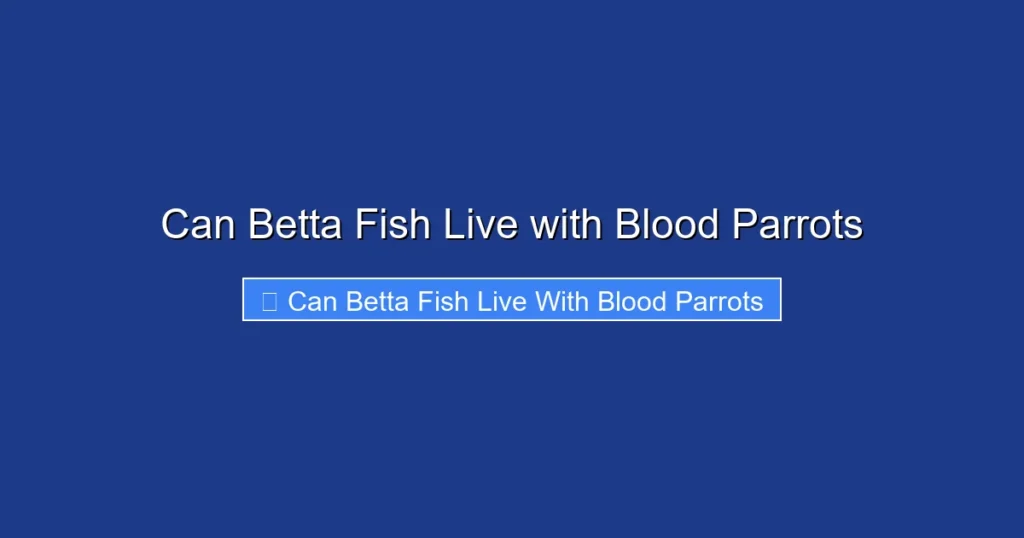 Can Betta Fish Live with Blood Parrots