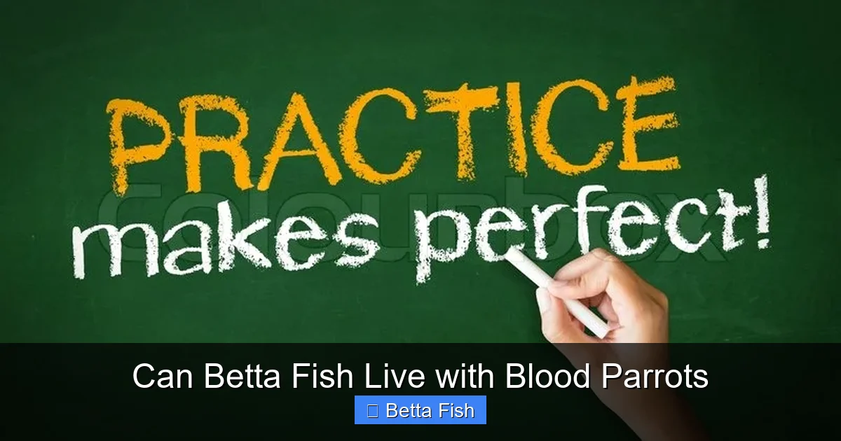 Can Betta Fish Live with Blood Parrots