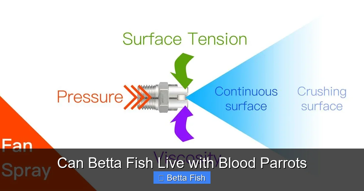 Can Betta Fish Live with Blood Parrots
