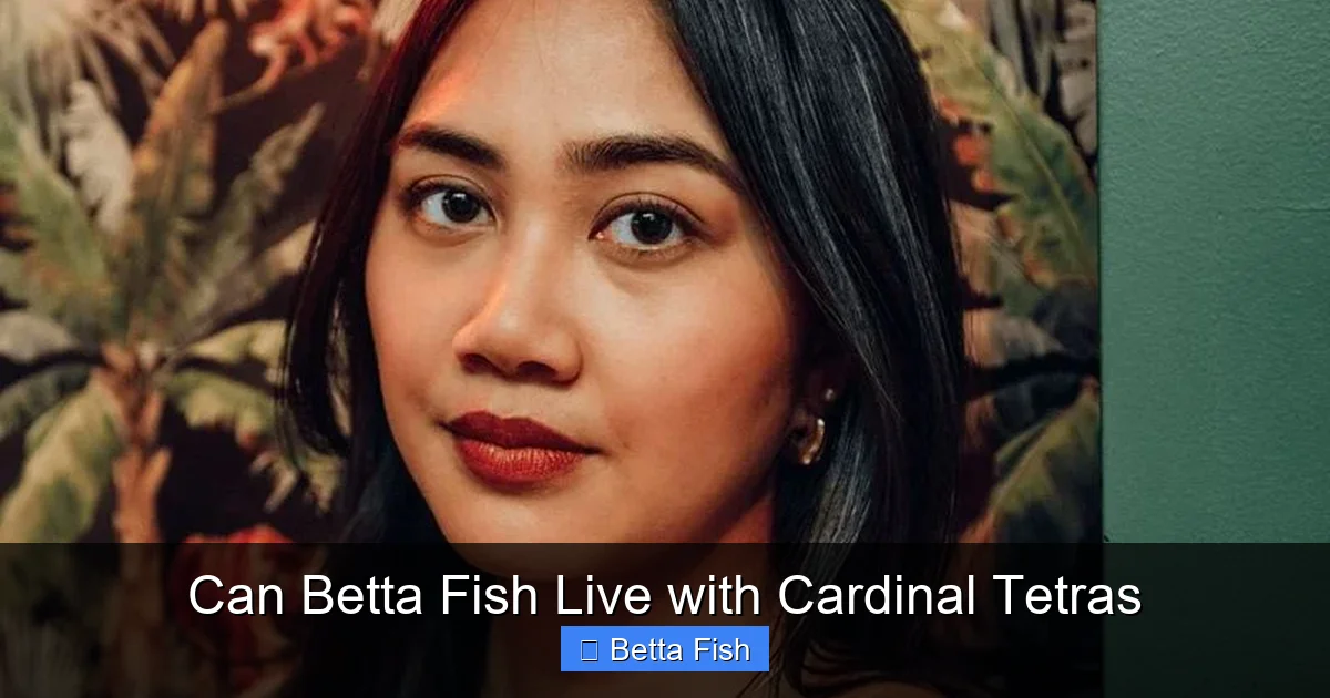 Can Betta Fish Live with Cardinal Tetras