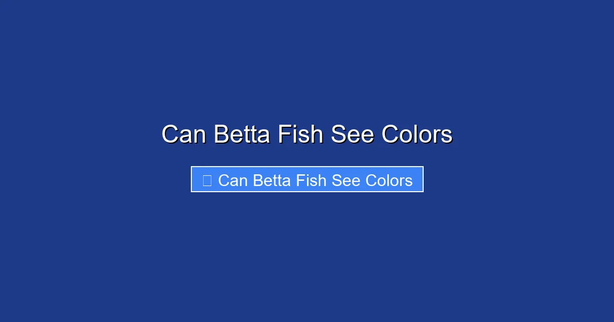 Can Betta Fish See Colors