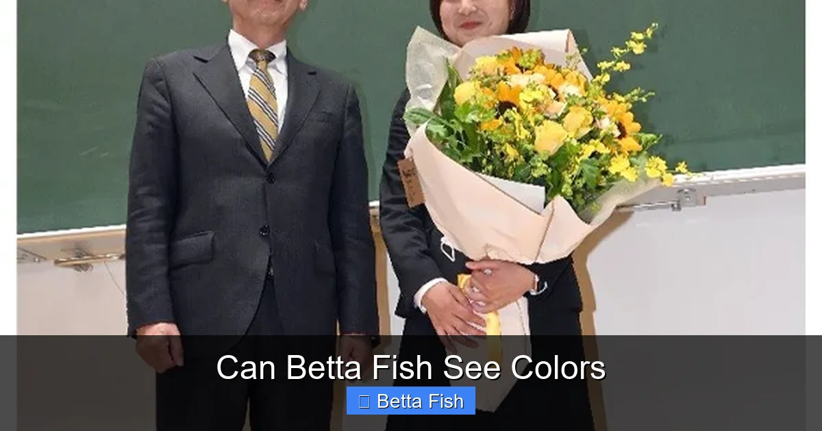 Can Betta Fish See Colors