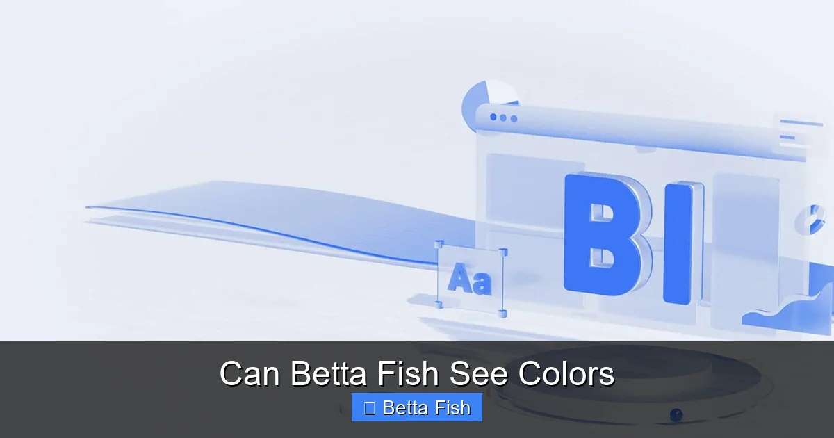 Can Betta Fish See Colors