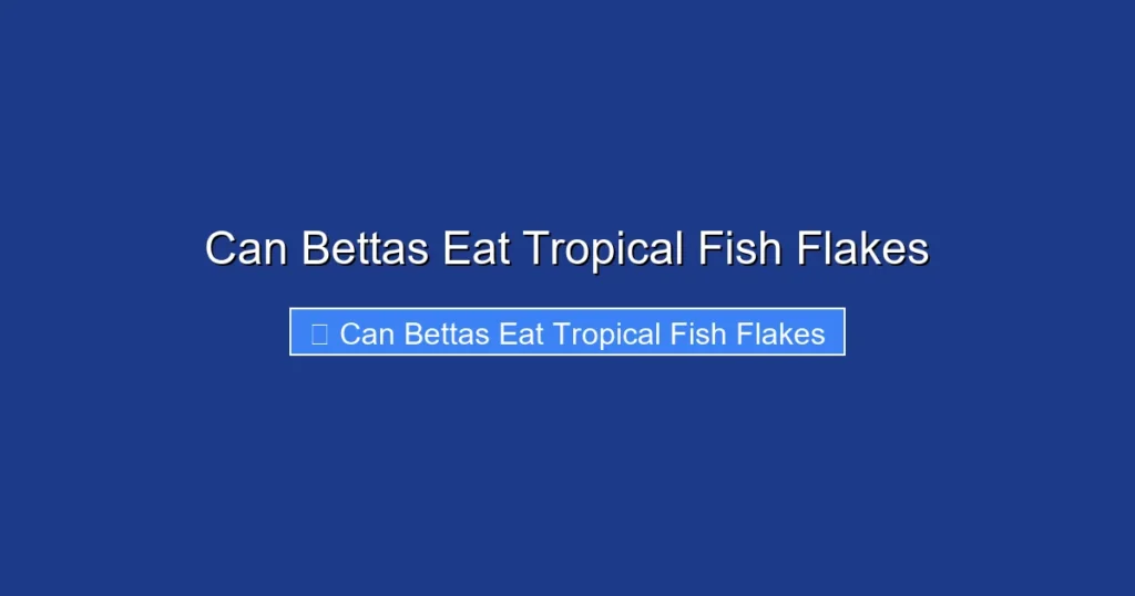 Can Bettas Eat Tropical Fish Flakes