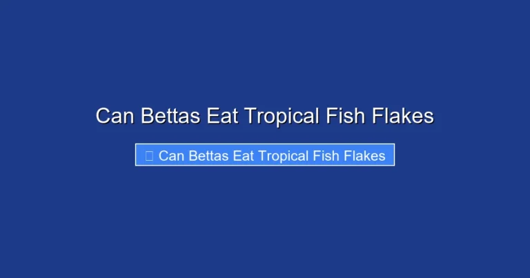 Can Bettas Eat Tropical Fish Flakes